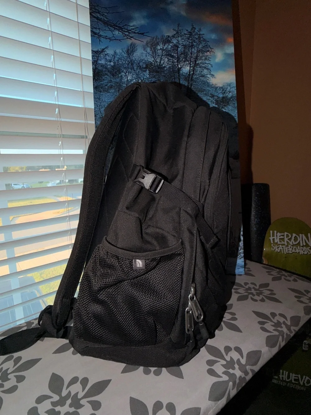 The North Face brand north